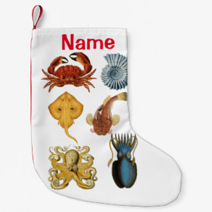 Unique Sea Beings Assortiment Thunder_Cove Kleiner Weihnachtsstrumpf