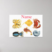 Unique Sea Beings Assortiment Thunder_Cove