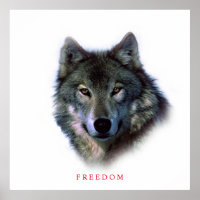 Unique Square Motivierend Freedom Wolf Poster