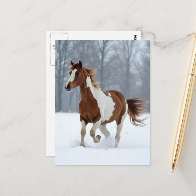 Unique Winter Paint Horse Postkarte (Vorderseite/Rückseite Beispiel)