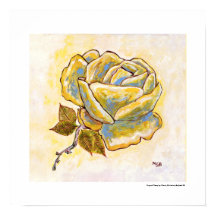 Unique Yellow Rose Blume Floral South France