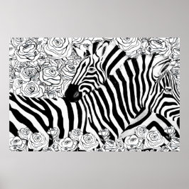 Unique Zebras Poster