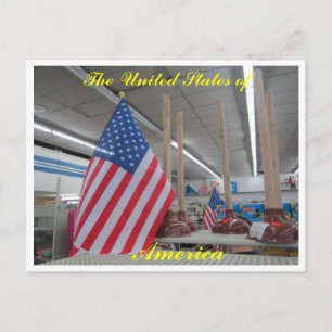 United Staaten flags n' plungers postcard Postkarte