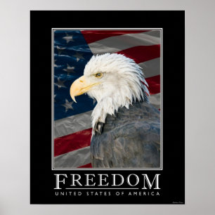 United Staaten Freedom Poster