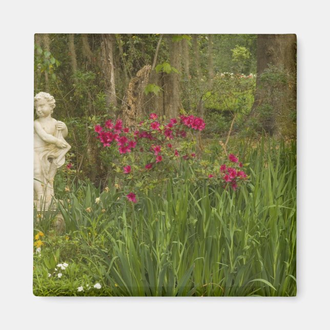 United Staaten; South Carolina; Charleston; 4 Magnet (Vorne)