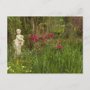 United Staaten; South Carolina; Charleston; 4 Postkarte