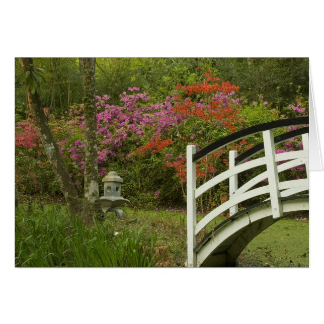 United Staaten; South Carolina; Charleston; 5 (Vorderseite (Horizontal))