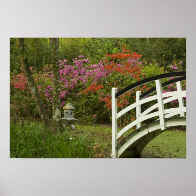 United Staaten; South Carolina; Charleston; 5 Poster (Vorne)