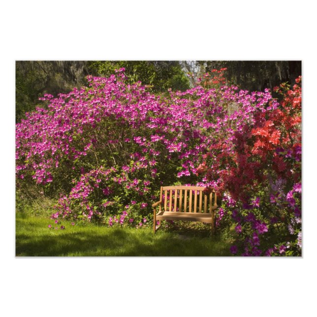 United Staaten; South Carolina; Charleston; Fotodruck (Vorne)