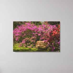 United Staaten; South Carolina; Charleston; Leinwanddruck