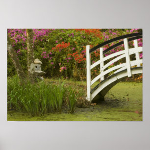 United States; South Carolina; Charleston; 2 Poster