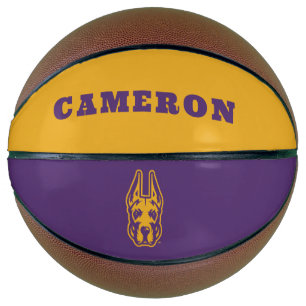 Universität Albany Great Dane Mascot Head Basketball