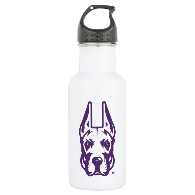 Universität Albany Great Dane Mascot Head Edelstahlflasche (Vorderseite)