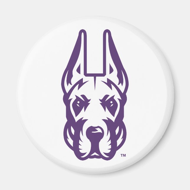 Universität Albany Great Dane Mascot Head Magnet (Vorne)