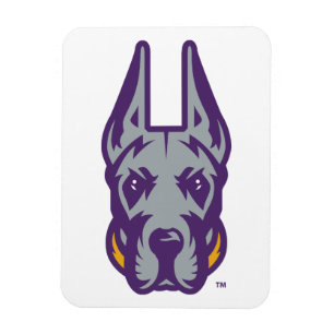 Universität Albany Great Dane Mascot Head Magnet