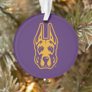 Universität Albany Great Dane Mascot Head Ornament