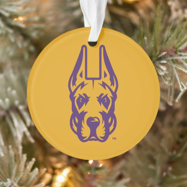 Universität Albany Great Dane Mascot Head Ornament (Baum)