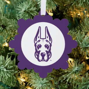 Universität Albany Great Dane Mascot Head Ornament Karte