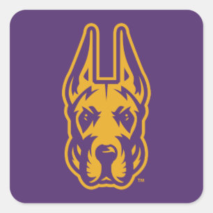 Universität Albany Great Dane Mascot Head Quadratischer Aufkleber