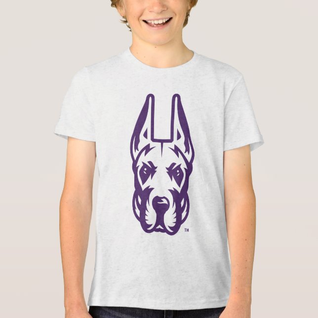 Universität Albany Great Dane Mascot Head Tri-Blend Shirt (Vorderseite)