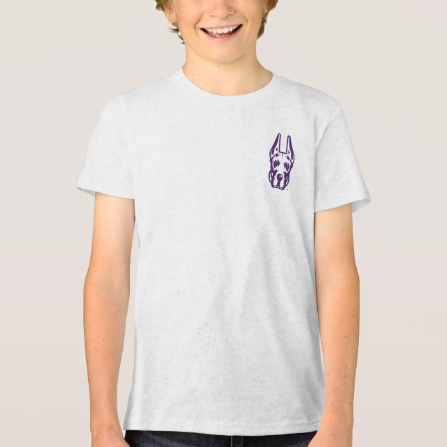 Universität Albany Great Dane Mascot Head Tri-Blend Shirt (Vorderseite)
