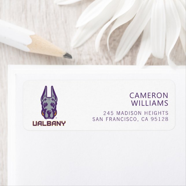 Universität Albany Great Danes (Insitu)