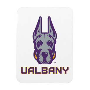 Universität Albany Great Danes Magnet