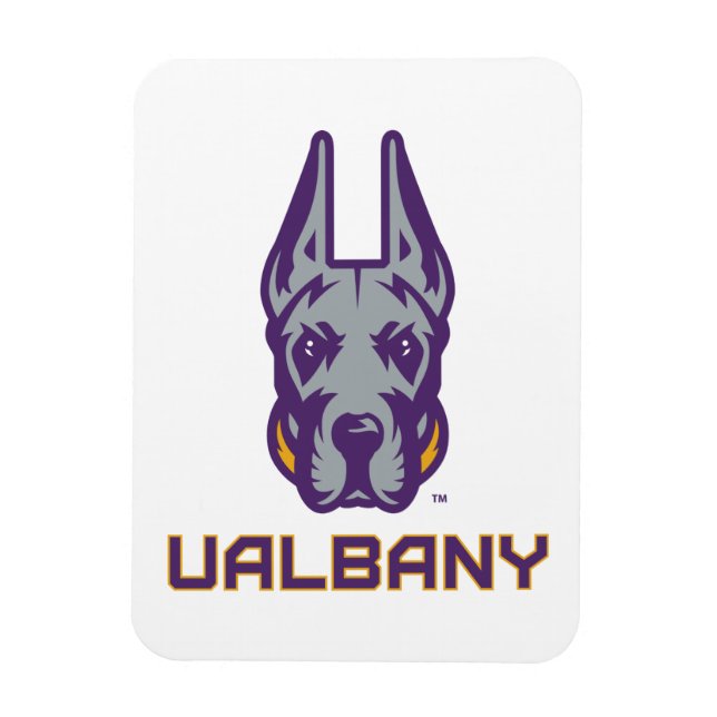 Universität Albany Great Danes Magnet (Vertikal)