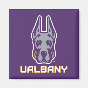 Universität Albany Great Danes Magnet