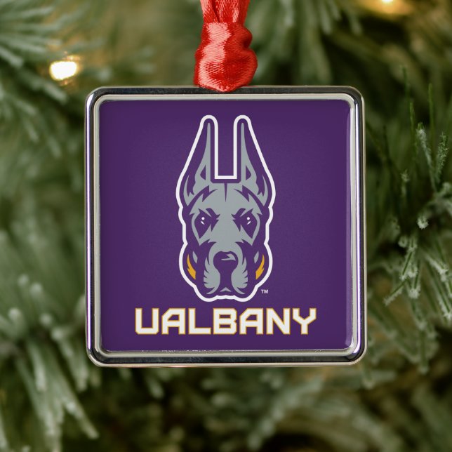 Universität Albany Great Danes Ornament Aus Metall (Baum)