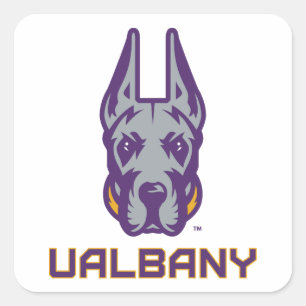 Universität Albany Great Danes Quadratischer Aufkleber