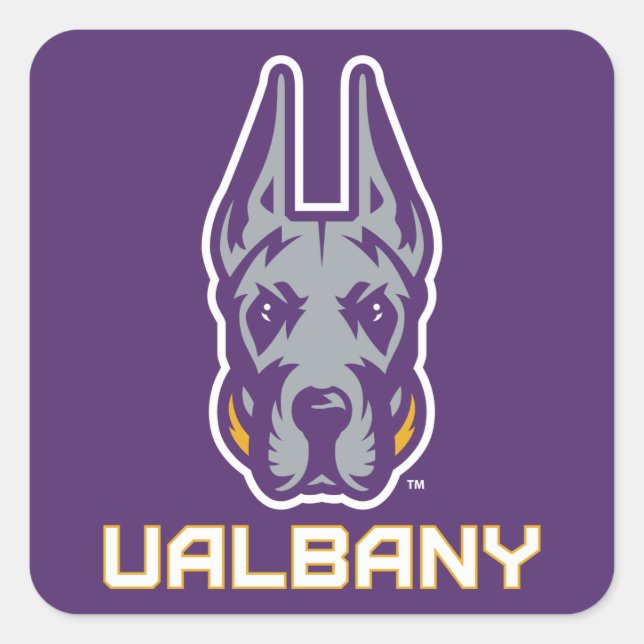Universität Albany Great Danes Quadratischer Aufkleber (Vorderseite)