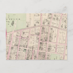 Universität Brown Postkarte