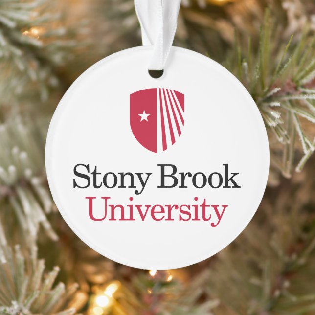 Universität Stony Brook | Wortmarke Ornament (Baum)