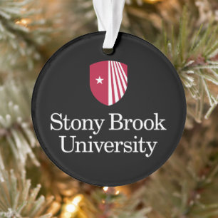Universität Stony Brook   Wortmarke Ornament