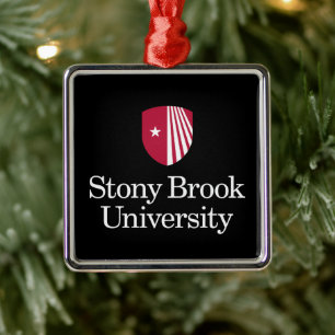 Universität Stony Brook Wortmarke Ornament Aus Metall