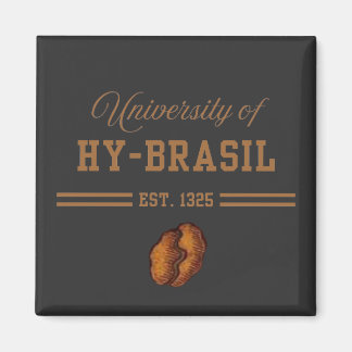 Universität von Hy-Brasil, gegr. 1325 Magnet