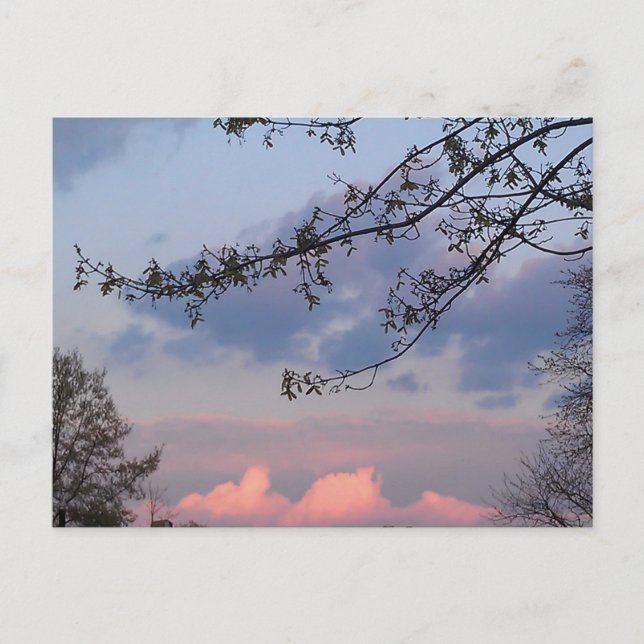 University City Goodwill Postkarte (Vorderseite)