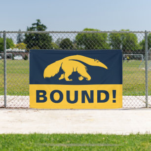 University of California, Irvine Anteater Banner