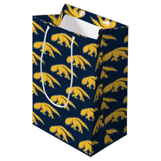 University of California, Irvine Anteater Mittlere Geschenktüte (Vorderseite Schrägansicht)