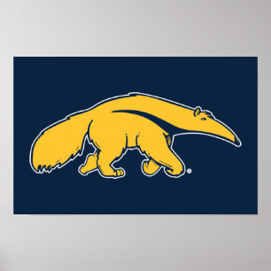 University of California, Irvine Anteater Poster