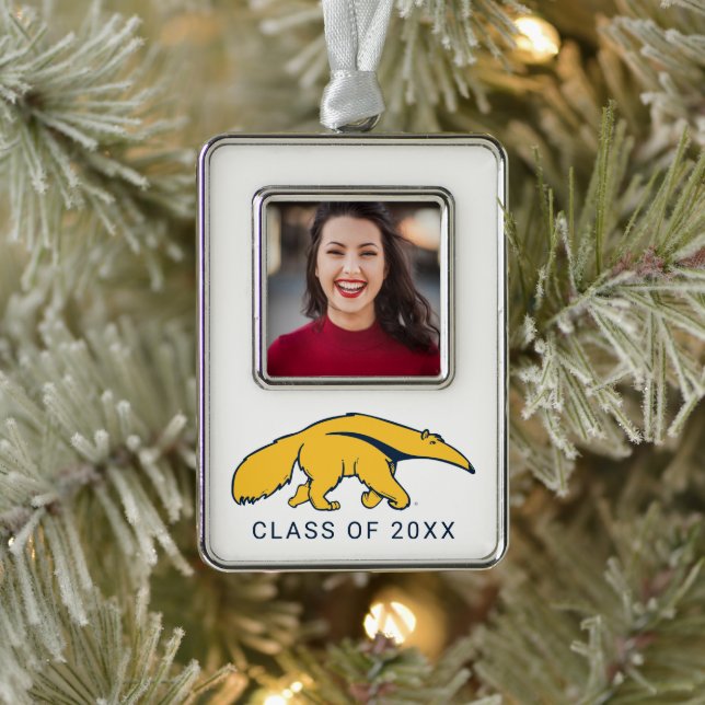 University of California, Irvine Anteater Rahmen-Ornament Silber (Baum)