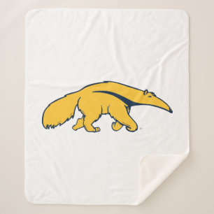 University of California, Irvine Anteater Sherpadecke