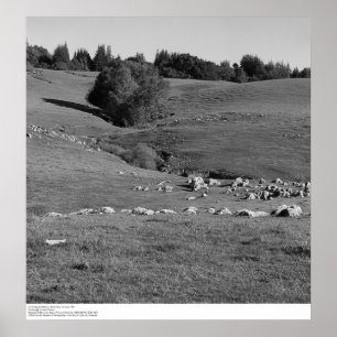 University of California, Santa Cruz, 1963 Poster