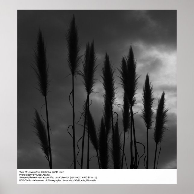 University of California, Santa Cruz, Ansel Adams Poster (Vorne)
