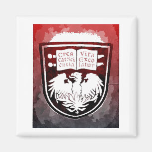 University of Chicago Siegel Magnet