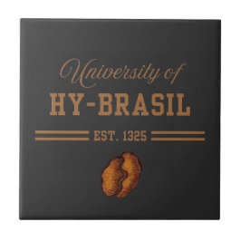 University of Hy-Brasil, Est. 1325 Fliese