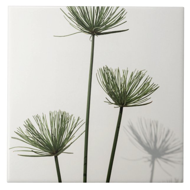 Unkraut Fliese (Vorderseite)