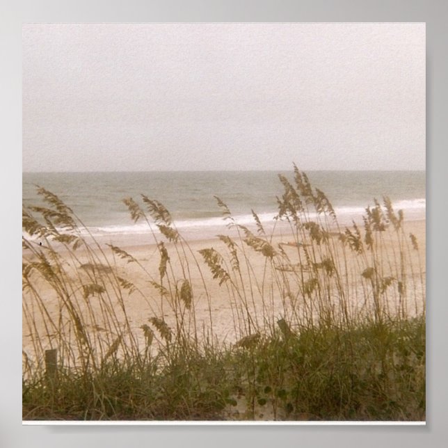 Unkraut Poster (Vorne)