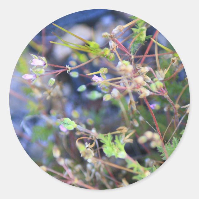Unkraut Runder Aufkleber (Vorderseite)
